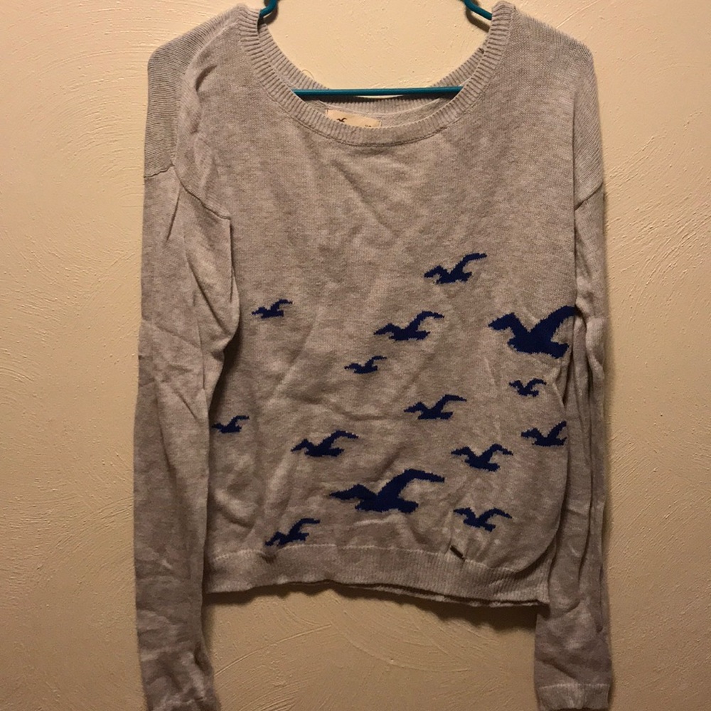 Hollister Sweater